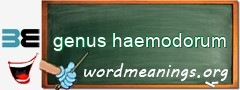WordMeaning blackboard for genus haemodorum